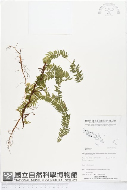 登錄號:BP01782藏品圖，第1張