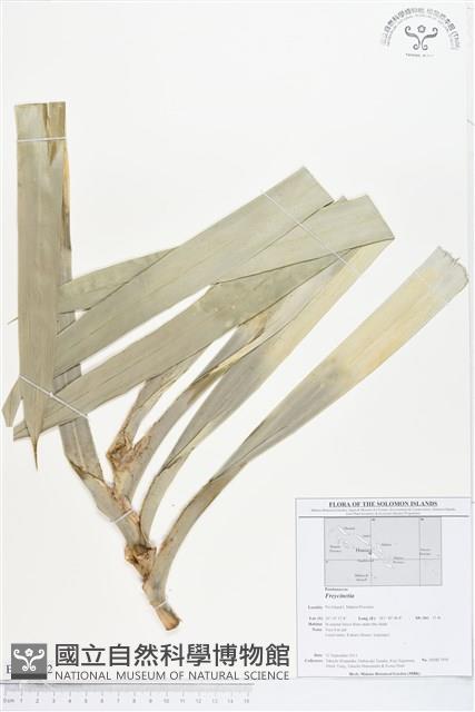 登錄號:BS01782藏品圖，第1張