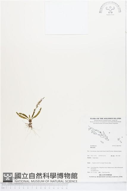 登錄號:BS04782藏品圖，第1張