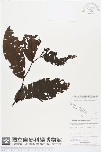 登錄號:BS03782藏品圖，第1張