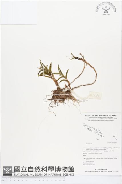 登錄號:BS02582藏品圖，第1張