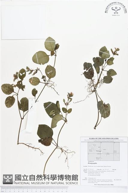 登錄號:BS01582藏品圖，第1張