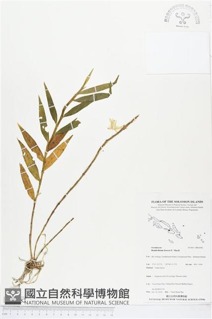 登錄號:BS04582藏品圖，第1張