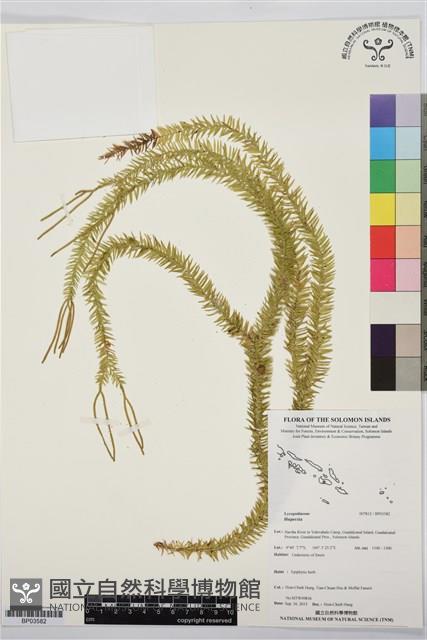 登錄號:BP03582藏品圖，第1張