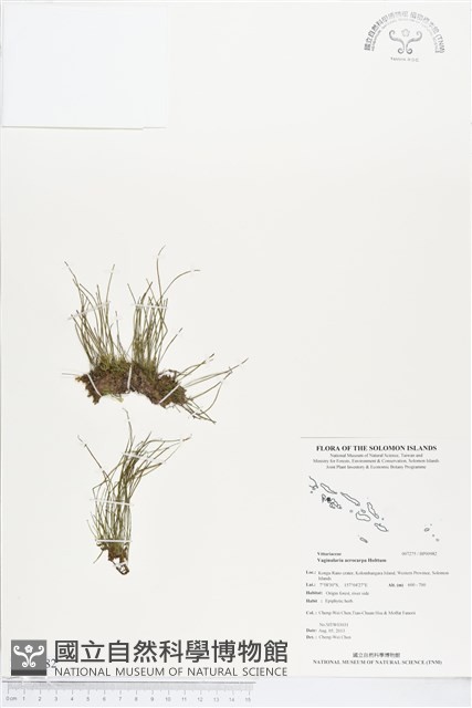 登錄號:BP00982藏品圖，第1張