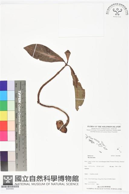 登錄號:BS05982藏品圖，第1張