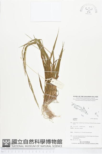 登錄號:BS05382藏品圖，第1張