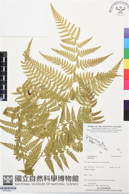 登錄號:BP03382藏品圖，第1張