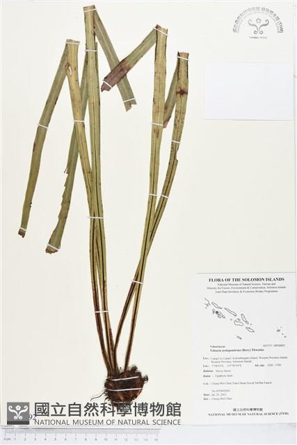 登錄號:BP00892藏品圖，第1張