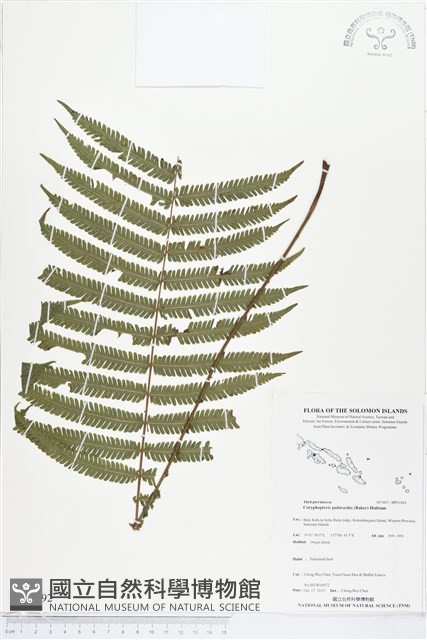登錄號:BP01892藏品圖，第1張