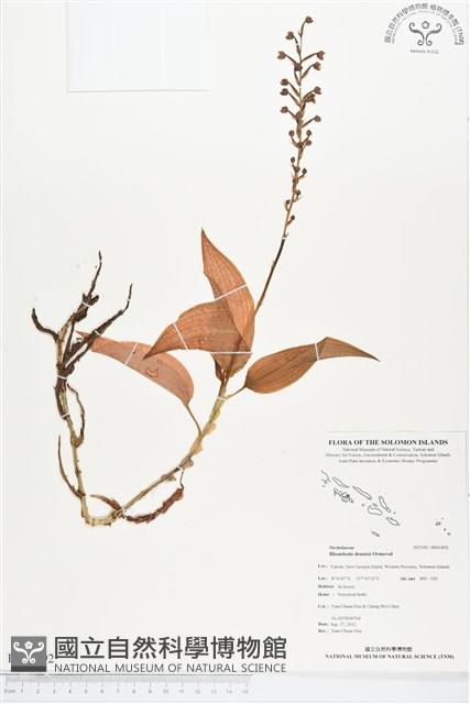 登錄號:BS01892藏品圖，第1張