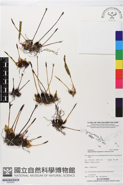 登錄號:BS05892藏品圖，第1張