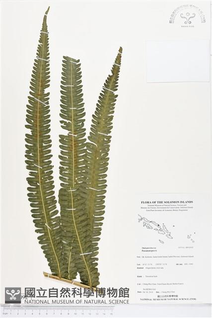 登錄號:BP02092藏品圖，第1張