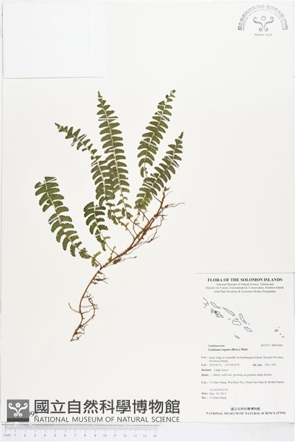 登錄號:BP01092藏品圖，第1張