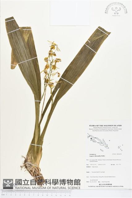 登錄號:BS04092藏品圖，第1張