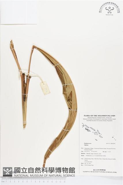 登錄號:BS02692藏品圖，第1張