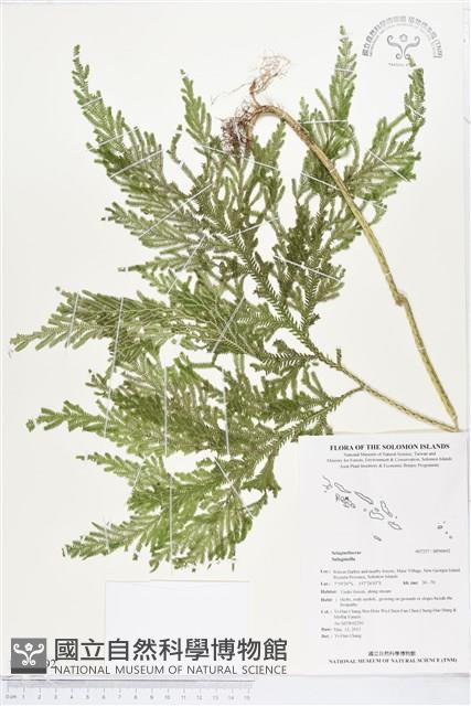 登錄號:BP00692藏品圖，第1張