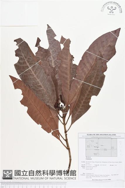 登錄號:BS01692藏品圖，第1張