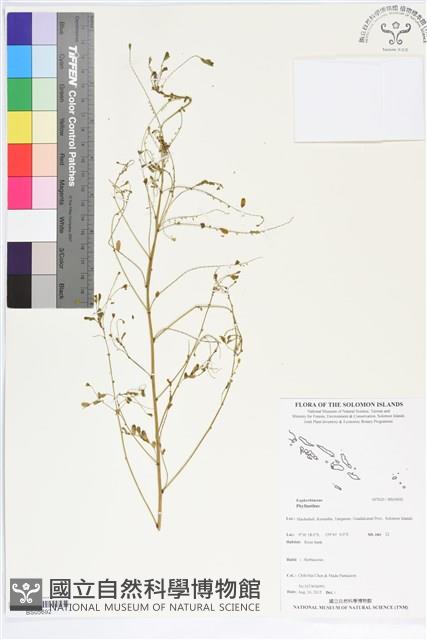 登錄號:BS05692藏品圖，第1張
