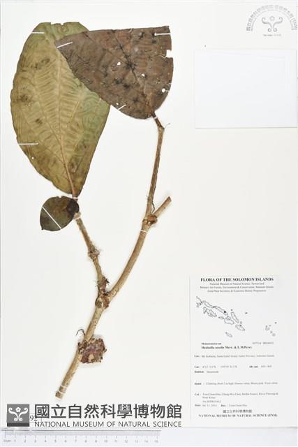 登錄號:BS04692藏品圖，第1張