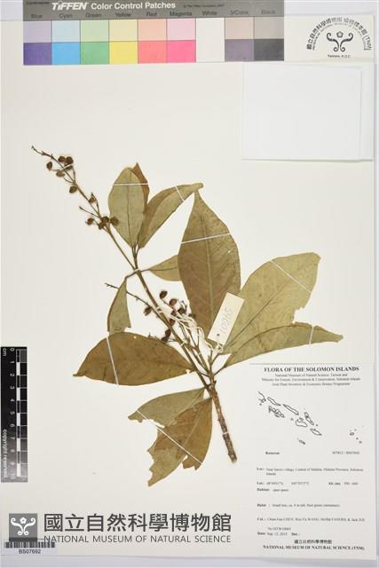 登錄號:BS07692藏品圖，第1張