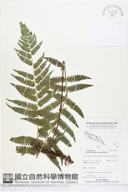 登錄號:BP02192藏品圖，第1張