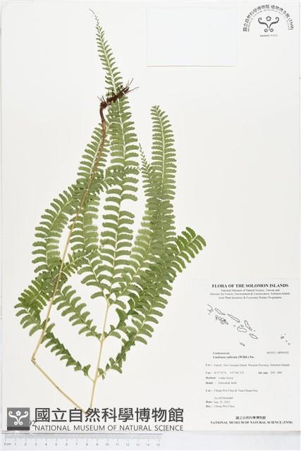 Accession Number:BP00192 Collection Image