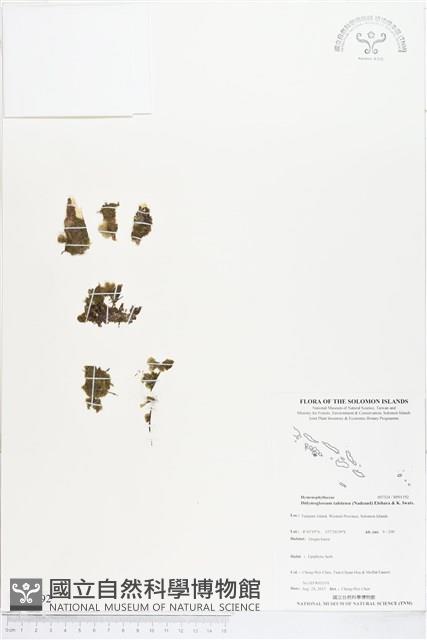 Accession Number:BP01192 Collection Image