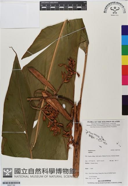 登錄號:BS07192藏品圖，第1張