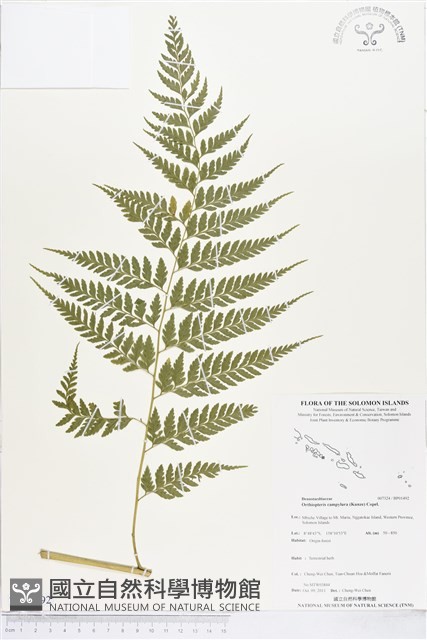 登錄號:BP01492藏品圖，第1張