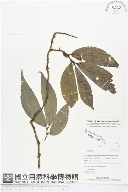 登錄號:BS01492藏品圖，第1張