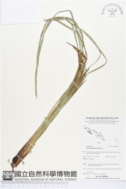 登錄號:BS03492藏品圖，第1張