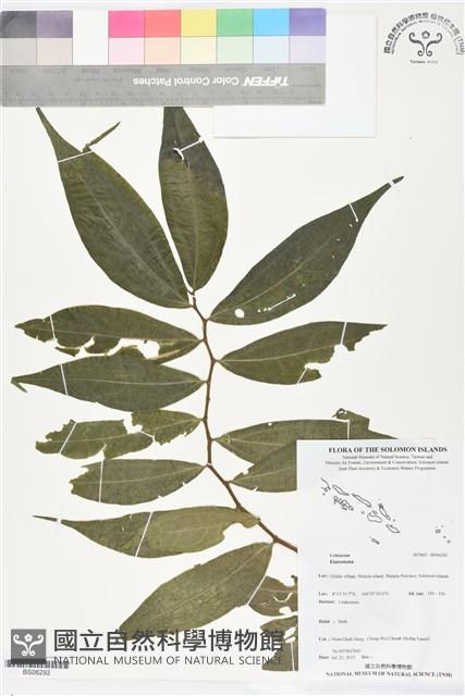 登錄號:BS06292藏品圖，第1張