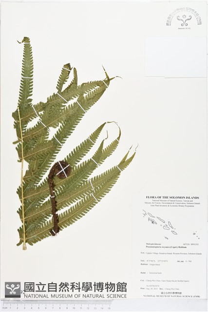 登錄號:BP01292藏品圖，第1張