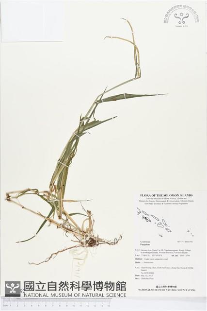 登錄號:BS02792藏品圖，第1張