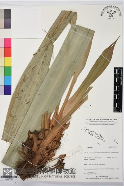 登錄號:BS07792藏品圖，第1張