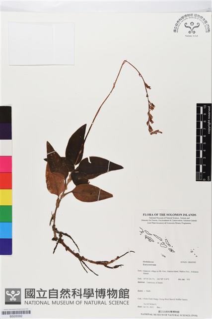 登錄號:BS05592藏品圖，第1張