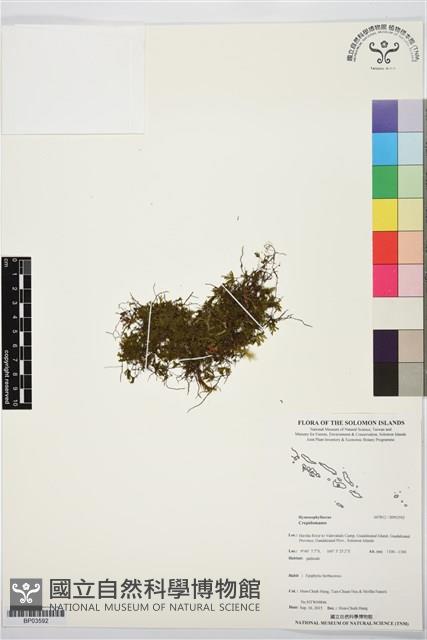 登錄號:BP03592藏品圖，第1張