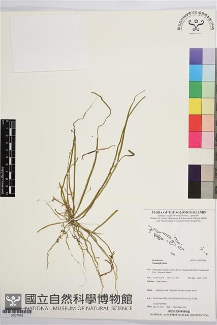 登錄號:BS07592藏品圖，第1張