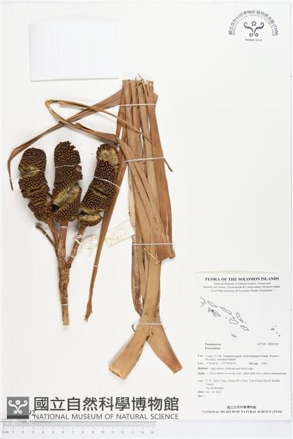 登錄號:BS01992藏品圖，第1張