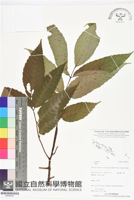 登錄號:BS06392藏品圖，第1張