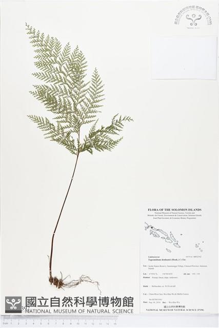 登錄號:BP02392藏品圖，第1張