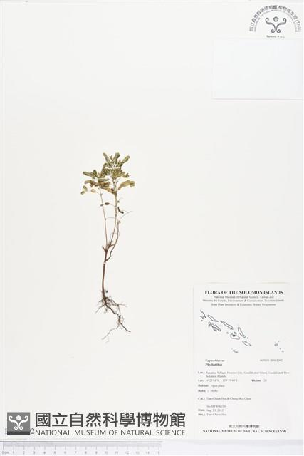 登錄號:BS01392藏品圖，第1張