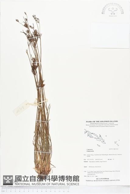 登錄號:BS05392藏品圖，第1張