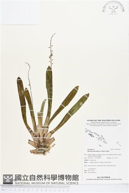 登錄號:BS03392藏品圖，第1張