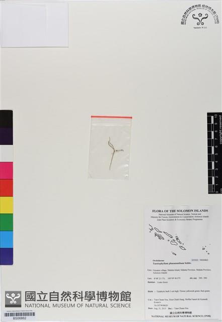 登錄號:BS06862藏品圖，第1張