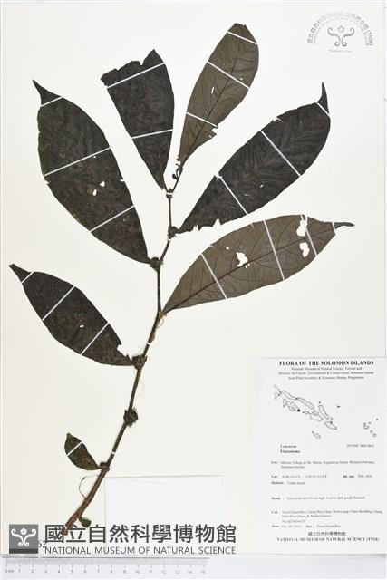 登錄號:BS03862藏品圖，第1張