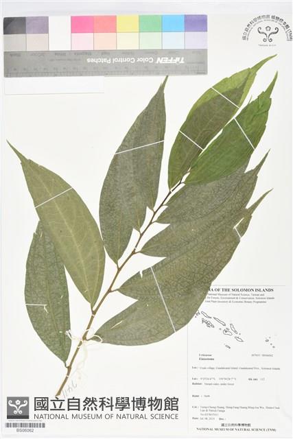 登錄號:BS06062藏品圖，第1張