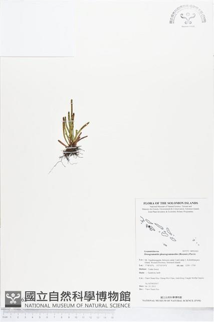 登錄號:BP01062藏品圖，第1張