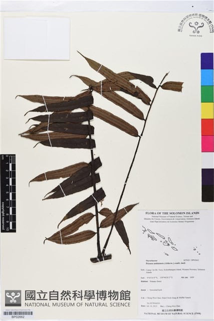 登錄號:BP02662藏品圖，第1張